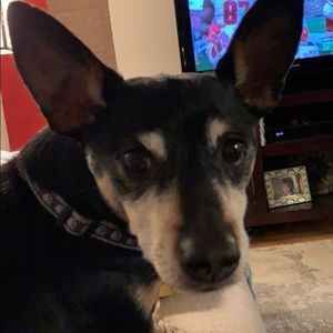 Meet your Posher, Brett